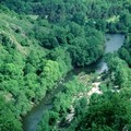 Vallée de l'Allier