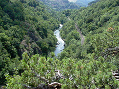 Gorges de l'Allier Gorges de l'Allier